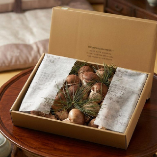 [경기 여주] 참송이버섯 1kg 선물세트 산지직송 명절 설 추석 선물