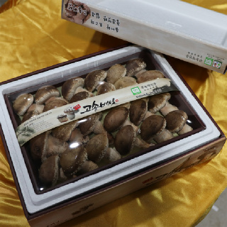 [경기 여주] 송화고버섯 1kg 고급선물포장 송이표고