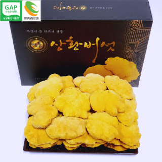 장수 상황버섯 원형 240g .GAP인증
