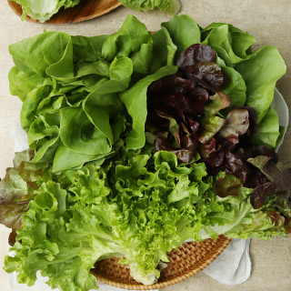 [음성장터] GAP 유럽 샐러드용 쌈채소 1kg(5-6종 랜덤)