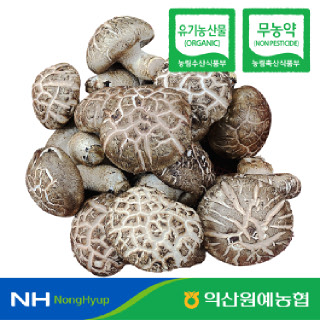 [전북임산부꾸러미/농산물] 표고 버섯 300g