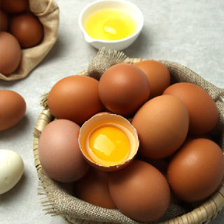 [음성장터] 신선한 계란 (90알)