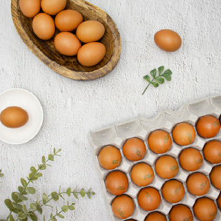 [성원] 선비란 무항생제 계란 60구/90구 대란 (옵션선택)