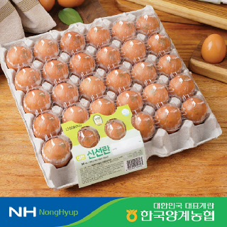 [한국양계농협] 농협계란 안심플러스 계란 신선란 대란 60입 (30입*2판)