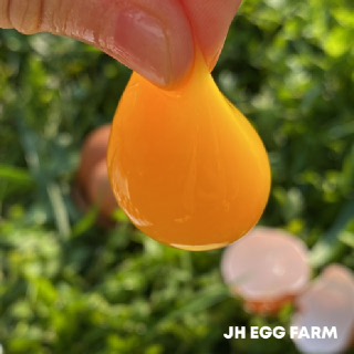 정훈농장 무항생제 HACCP인증 오늘낳은 신선계란 특란 30구