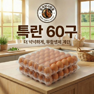 [양계장사람들] 무항생제 특란 60구