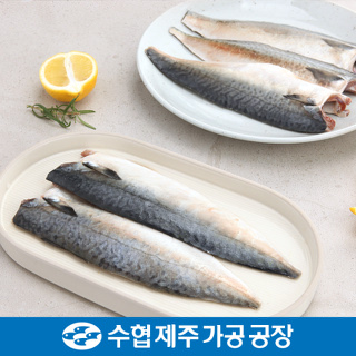 제주 수협 손질 고등어 실속 세트 120gx15팩 / 120gx15팩(1.8kg)