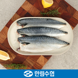 제주 한림수협 제주 고등어 살 세트 150g*10팩 / 150g*10팩