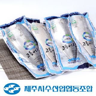 [제주시수협] 제주 특대 고등어살 1.5kg(150g x 10팩)