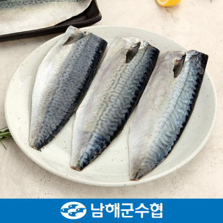 남해수협 수협 은빛파도 남해 고등어 1.9kg(190g*10팩)