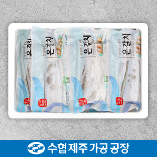 제주 수협 은갈치 특대 세트 550gx3팩 + 부직포 가방