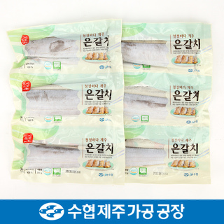 제주 수협 은갈치 세트 2호 300gx3팩 / 은갈치 900g(300gx3팩)