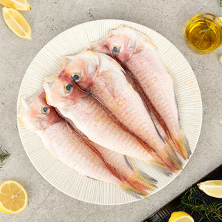 오초록 제주 특선 옥돔 5미(650g)