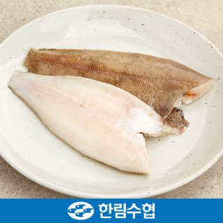 제주 한림수협 제주 가자미 1.2kg(400g*3팩/팩당1~2미)