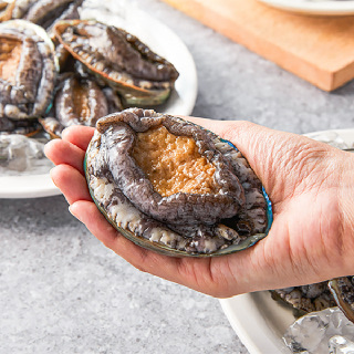 [기삼전복] 활전복 특대 1kg 7-9미 (마리당 110g 내외)