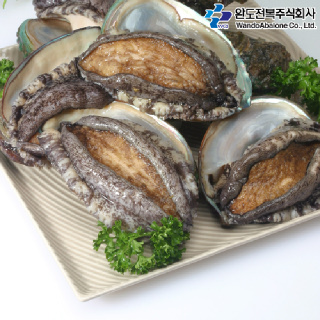 청해진미 완도전복 특대 1kg(10~11미)