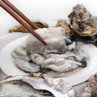 달봉수산 통영 생굴1kg