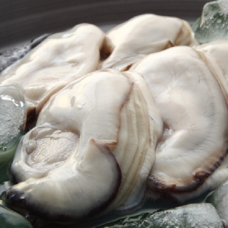 25년 제철 통영 생굴 세척 깐 생굴 1kg