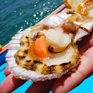 산지직송 국내산 제철 홍가리비4kg/왕홍가리비 (중량선택가능)