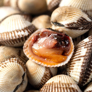 [대한민국농수산] 벌교 여자만 새꼬막 1kg