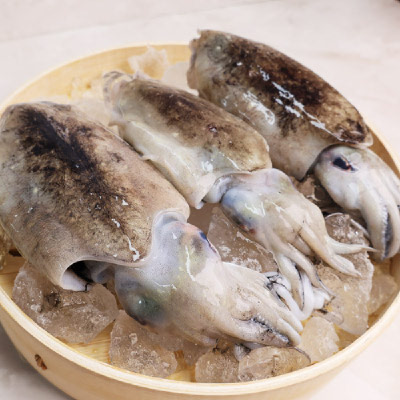 [오늘신선] 태안 신진도 당일조업 제철 생물 갑오징어 1kg(3-6미)