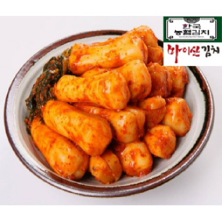 [한국농협김치 마이산]총각김치1kg