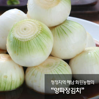 해남화원농협 이맑은 양파장김치 3kg