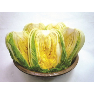 [한국농협김치 마이산] 절임배추 10kg (희망수령일 옵션선택)