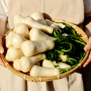 (출고일지정) 소백산 고랭지 절임알타리 5kg (10/27~12/5 출고)