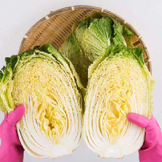 [예약판매]해남 절임배추 20kg