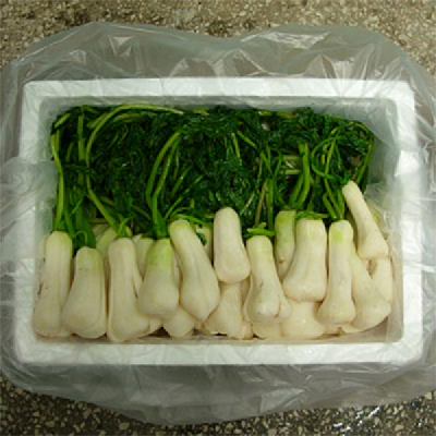 남도청정 절임알타리 2kg/3kg