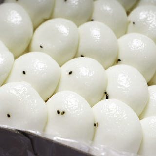 울산 고래술떡 쫀득한 팥 잔기지떡 부모님 생신떡 선물세트