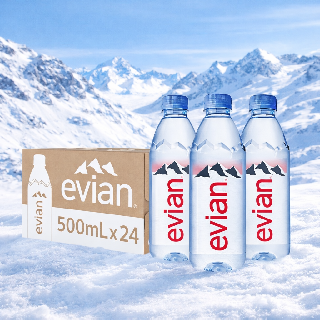 에비앙 천연광천수 500ml x 24 팩