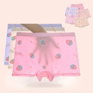딸기나라 여아동 속옷 매쉬 드로즈팬티 5종세트205625