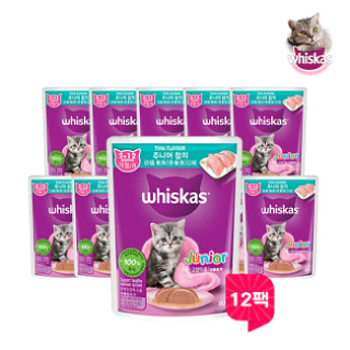 [마즈] 위스카스 고양이 파우치 주니어 참치 80g 12팩