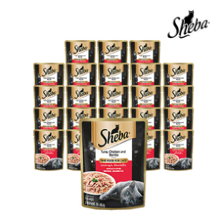 [마즈] 쉬바 고양이 파우치 참치와닭고기 70g 24팩