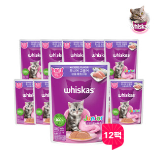[마즈] 위스카스 고양이 파우치 주니어 고등어 80g 12팩