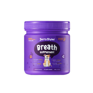 제리스타일스 대용량 영양제-기관지 Breath