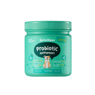 제리스타일스 대용량 영양제-유산균 Probiotic