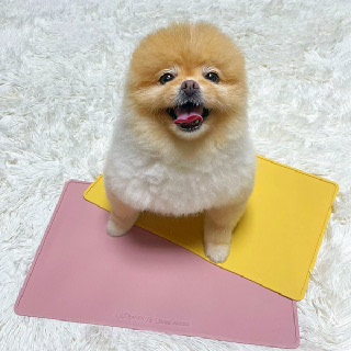 [울트라웨이브] 강아지 고양이 방수 논슬립 식기매트(깔개냥 사각)