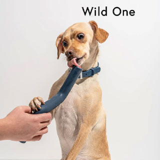Wild One Bolt Bite 블루 장난감 씹는 강아지에게 잡아당기고, 던지고, 마음을 씹으세요
