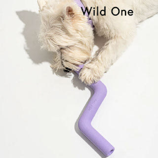 Wild One Bolt Bite 라일락 애견 강아지 장난감 천연 고무, 씹는 장난감, 간식 디스펜싱
