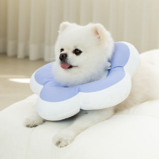 [레토] 강아지 고양이 넥카라 플라워 방수 (LNC-F02) M사이즈