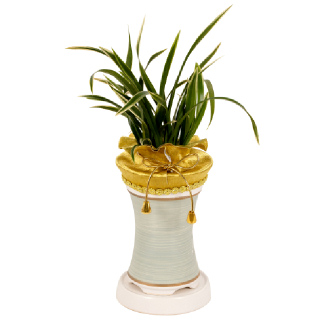 [한국화훼농협] 청금