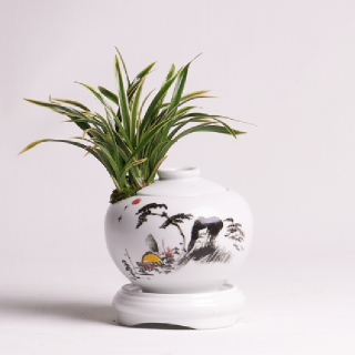 [한국화훼농협]동양란 대국 산수화 백자