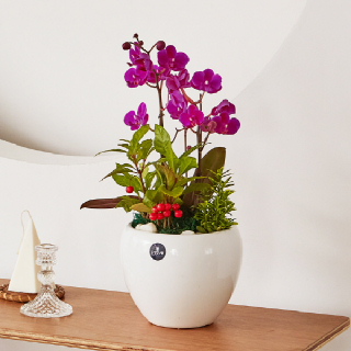 만천홍 클래식 1호