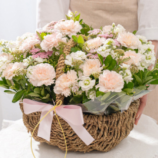 [한국화훼농협] 분홍빛 봄