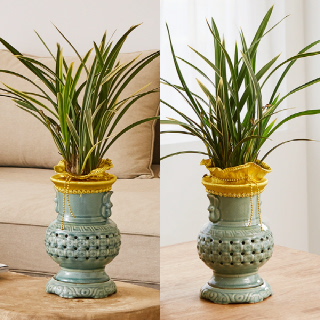 고민no 서(동양란)