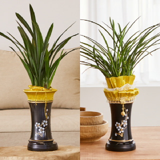 고민no 동(동양란)