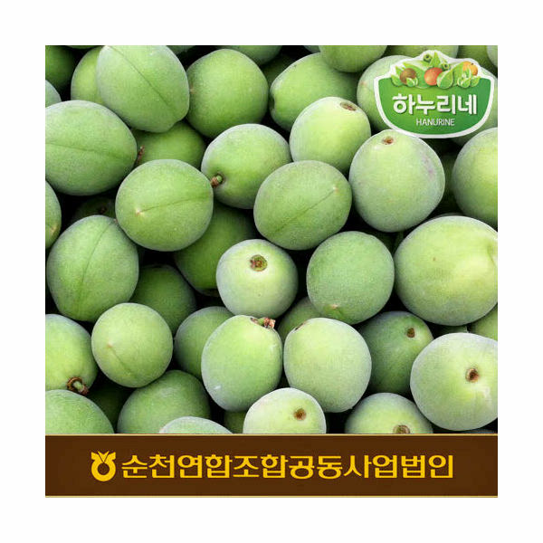 		농협몰 농협 순천 하누리네 매실 10kg(대/특/상)